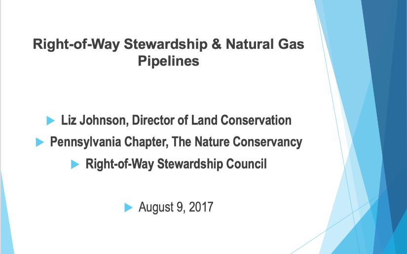 Right-Of-Way Stewardship and Natural Gas Pipelines